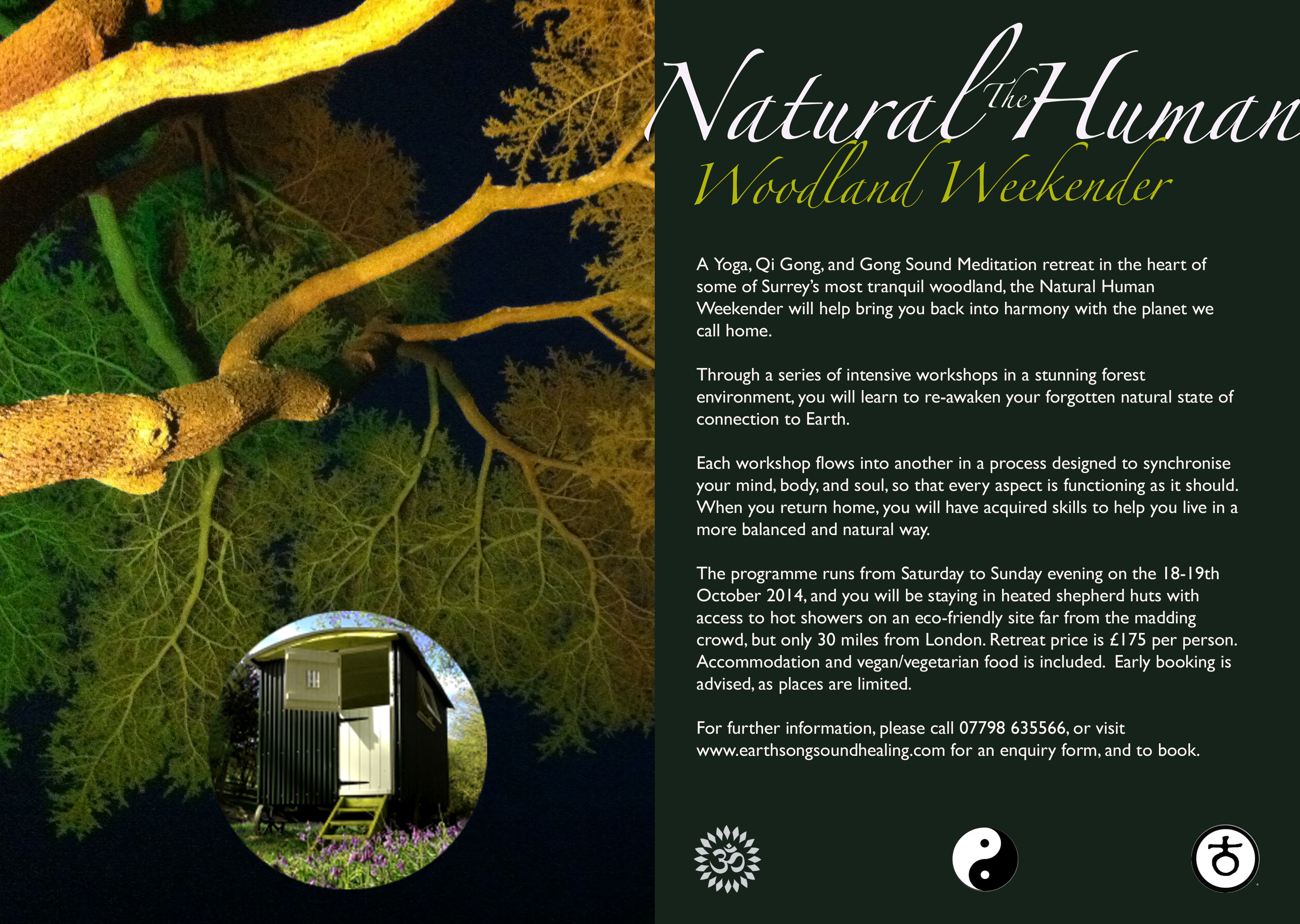 SURREY - The Natural Human Woodland Weekender