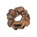 Wrist / Ankle Seed Shaker