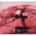 Enchanted - Praying for the Rain