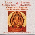 Chants to Awaken the Buddhist Heart - Lama Surya Das & Steven Halpern