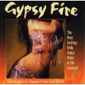 Gypsy Fire - Richard Hagopian & Omar Faruk Tekbilek