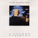 Tim Wheater - A Calmer Panorama