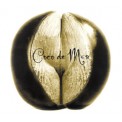 Coco de Mer - Adam Plack
