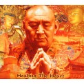 Healing the Heart - Sina Vodjani