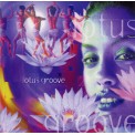 Lotus Groove - Music Mosaic Collection