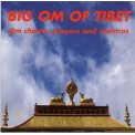 Big Om of Tibet: Om Chants, Prayers & Mantras - Various