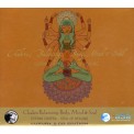 Deepak Chopra - Chakra Balancing: Body, Mind & Soul - Soul of Healing