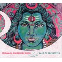 Bahramji & Maneesh De Moor - Call of the Mystic