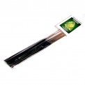 Moldavite Incense