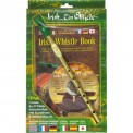 Irish Tin Whistle Pack by Waltons