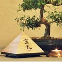 Reiki Timer