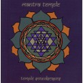 Solar Quest - Mantra Temple
