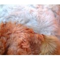 Toscana Sheepskin Throw - Style 6