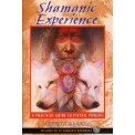 Shamanic Experience: A Practical Guide to Psychic Powers - Kenneth Meadows