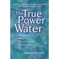 The True Power of Water - Masaru Emoto