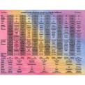 Correlative Healing Chart for Sound Therapy - Wayne Perry