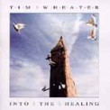 Tim Wheater - Into the Healing