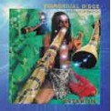 Didgeridoo