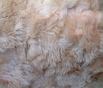 Toscana Sheepskin Throw - Style 3