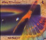 Sky Dancing: Nada Masala Vol 3 - Dakini Artists
