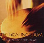 Chris Puleston and Chris Conway - The Healing Drum