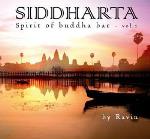 Siddharta - Vol 2 - Spirit of Buddha Bar - Ravin - 2 CDs