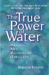 The True Power of Water - Masaru Emoto