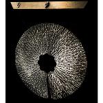Hammerax Glass