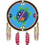 Window Transparency - Native Visions - Turtle