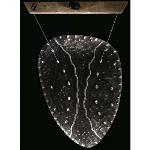 Hammerax Boomywang 18 inch - Shield