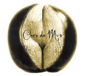 Coco de Mer - Adam Plack