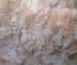 Toscana Sheepskin Throw - Style 3