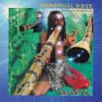 Didgeridoo