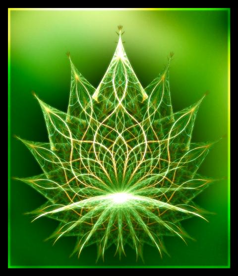 Spring Equinox Kirtan at The Yogi Tree