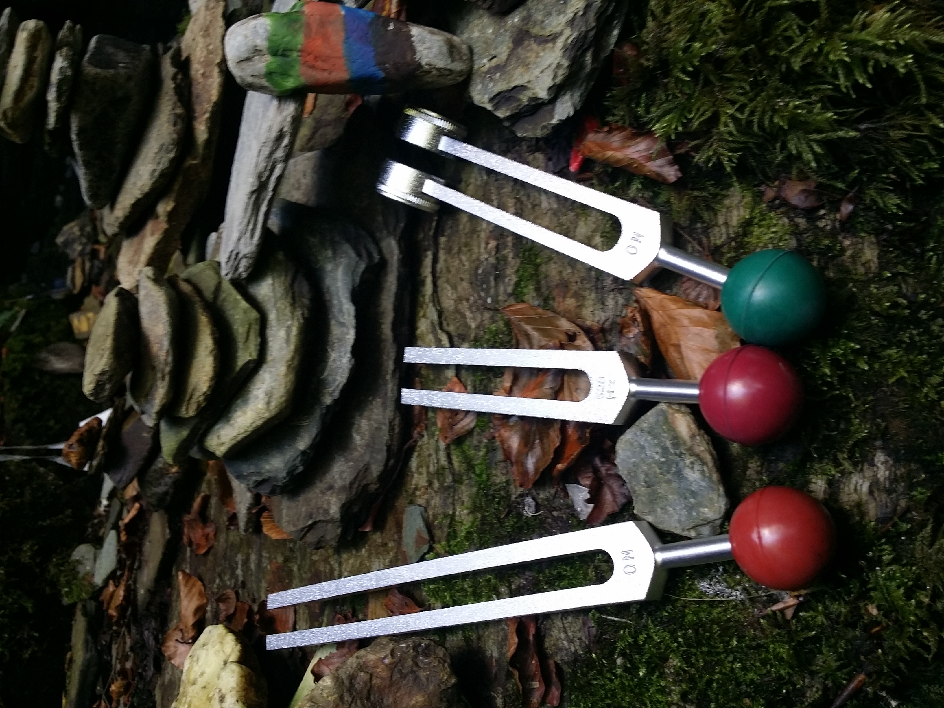 HAMPSHIRE - Introduction to Sound Healing Through Tuning Forks