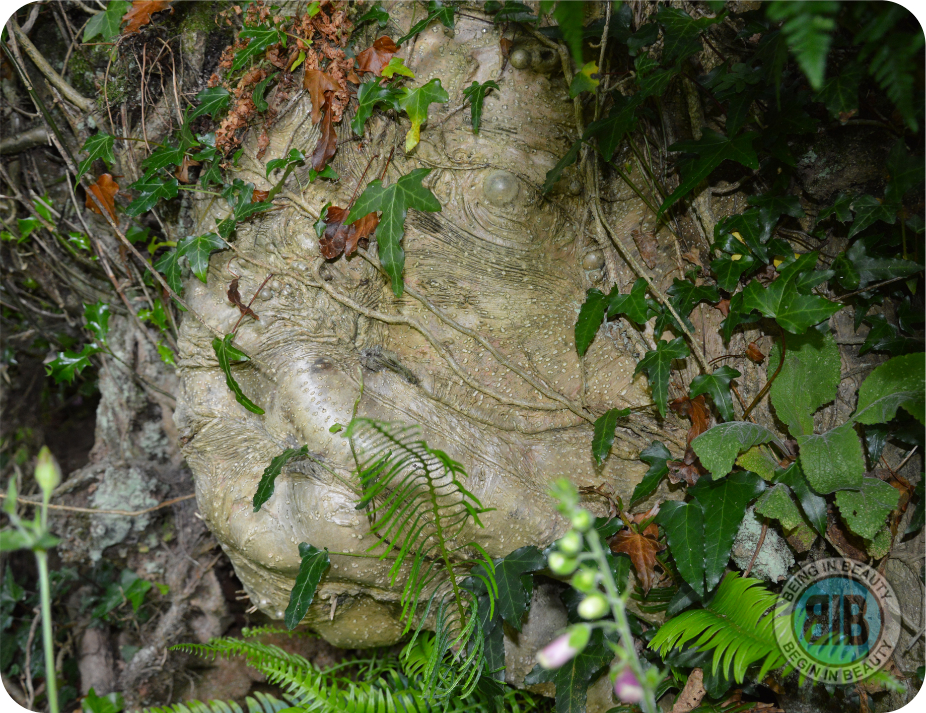 KAUNAS - Connecting with the spirits of nature