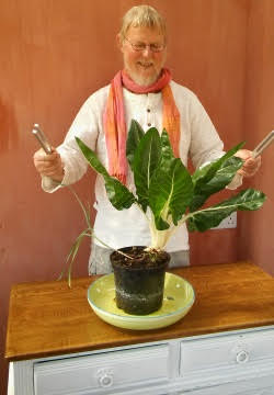 POWYS - Sound and Sacred Gardening