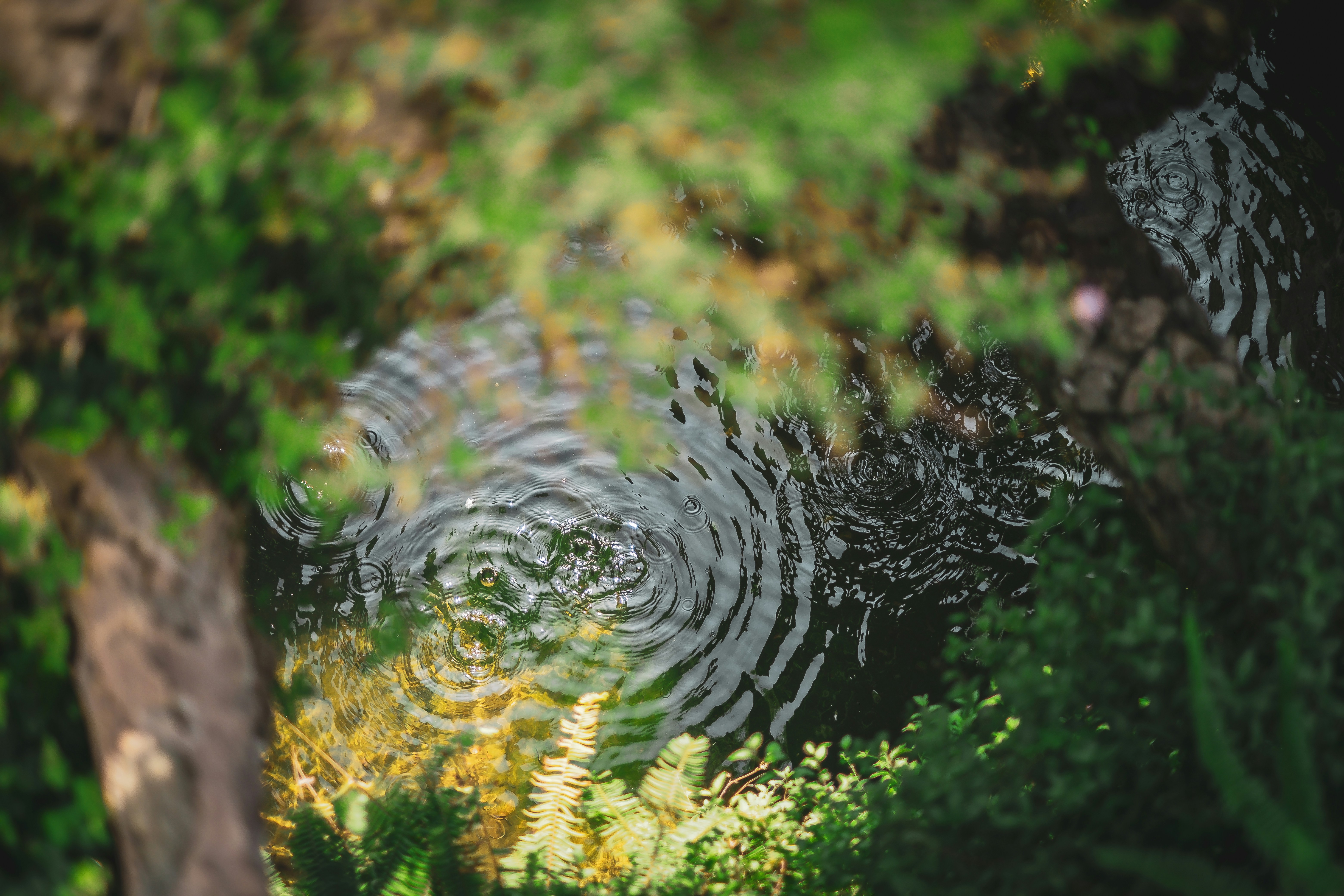 GLOUCESTERSHIRE - The Art of The Healing Voice