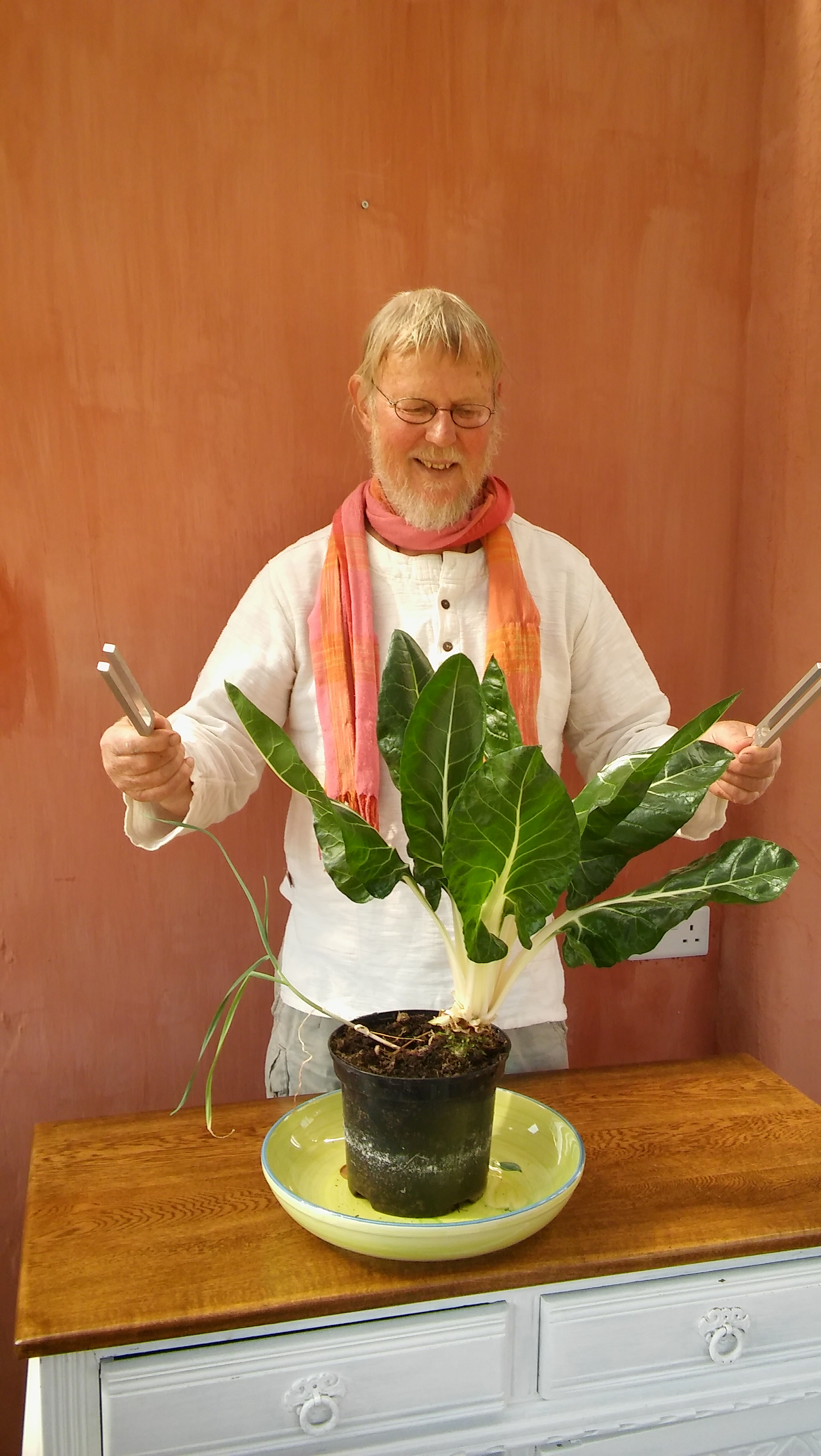 POWYS - Sound and Sacred Gardening