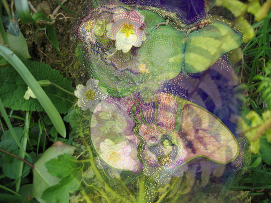 CORNWALL - Sacred Journeys - Spring: Nourishing New Growth & Energy on Cornwall 
