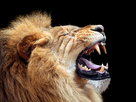 LONDON - Hear Me Roar!