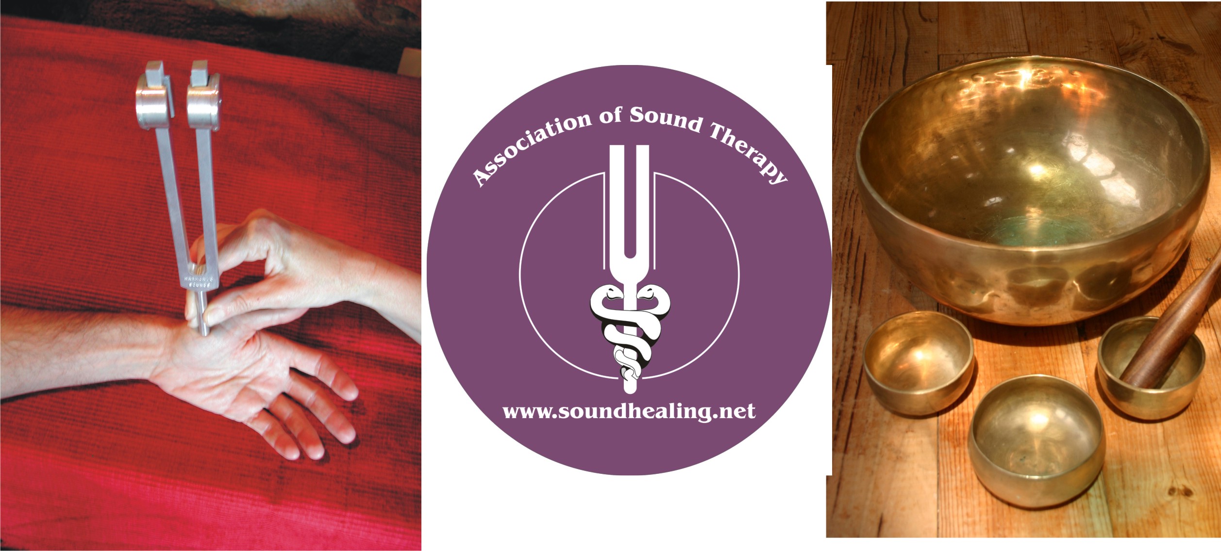 ALICANTE - Sound Healer Therapist Training Two Week Intensive