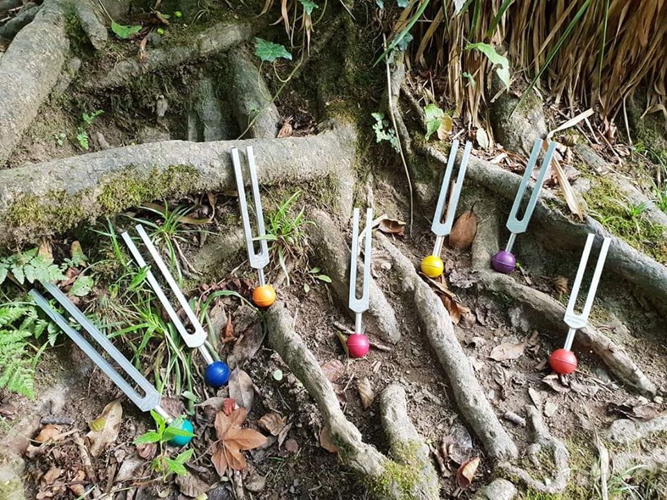 CORNWALL - Tuning Fork Sound Healing Diploma