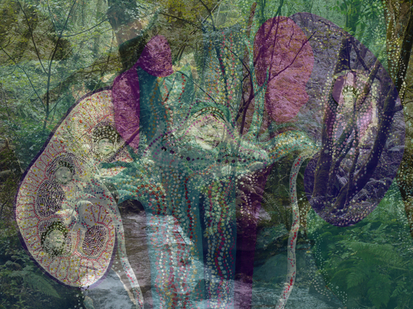 CORNWALL - Sacred Journeys - Winter: Sound Healing & Energy Restoration in Natur