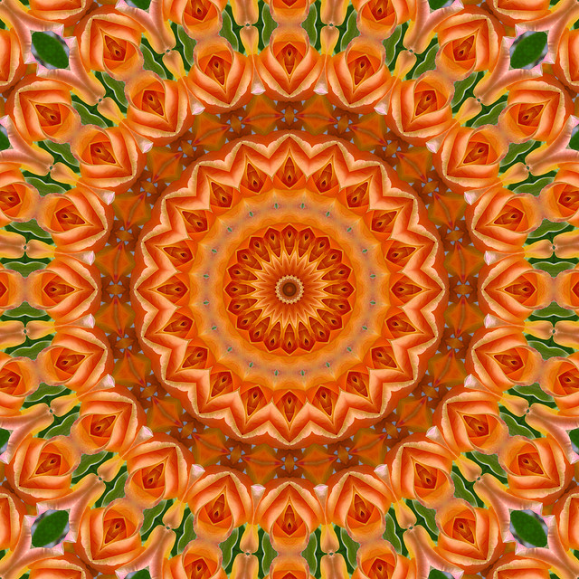 Garden of Roses - Sonic Mandalas