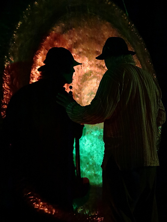 CARDIGAN - Giant Golden Gong Sound Healing Workshop - residential