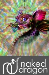 Naked Dragon Interactive Solstice Concert