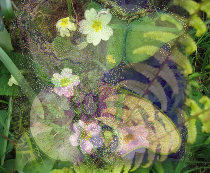 CORNWALL - Sacred Journeys - Spring: Nourishing New Growth & Energy on Cornwall 