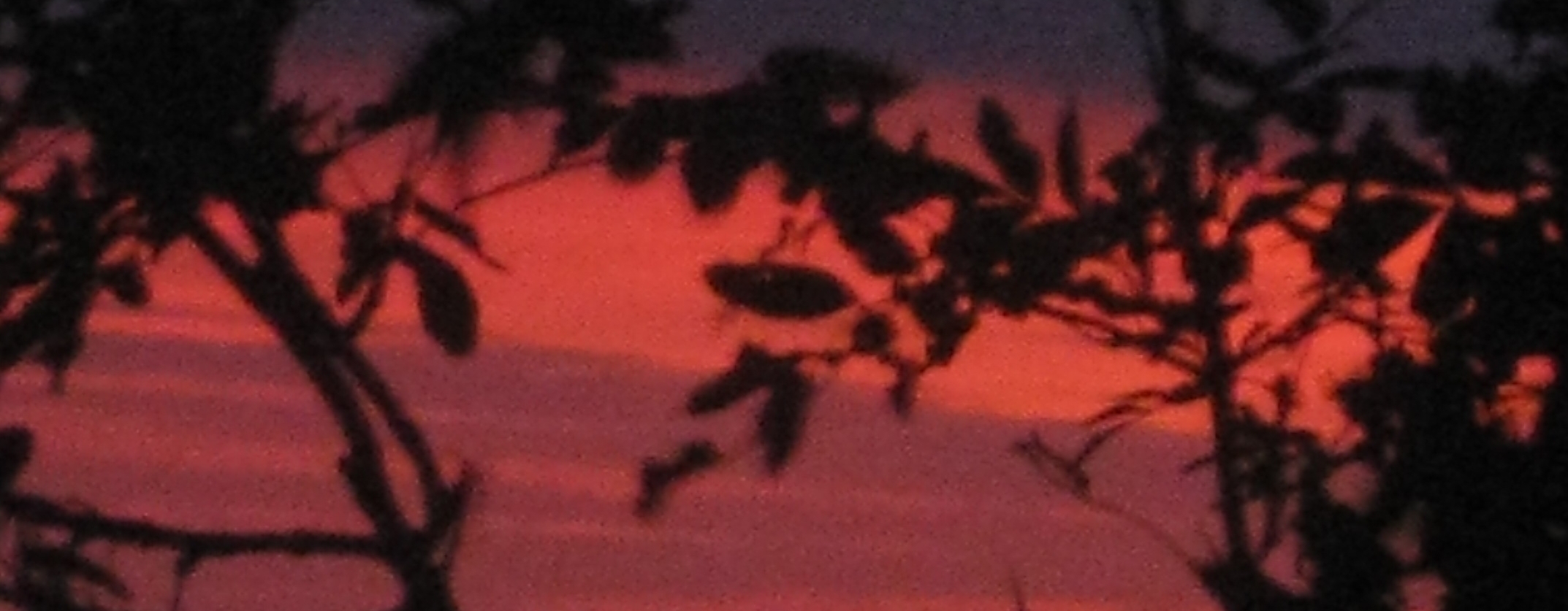 BEDFORDSHIRE - POETRY FOR THE SOUL