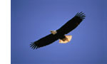 GLOUCESTERSHIRE  - Soul Retrieval Practitioner Training